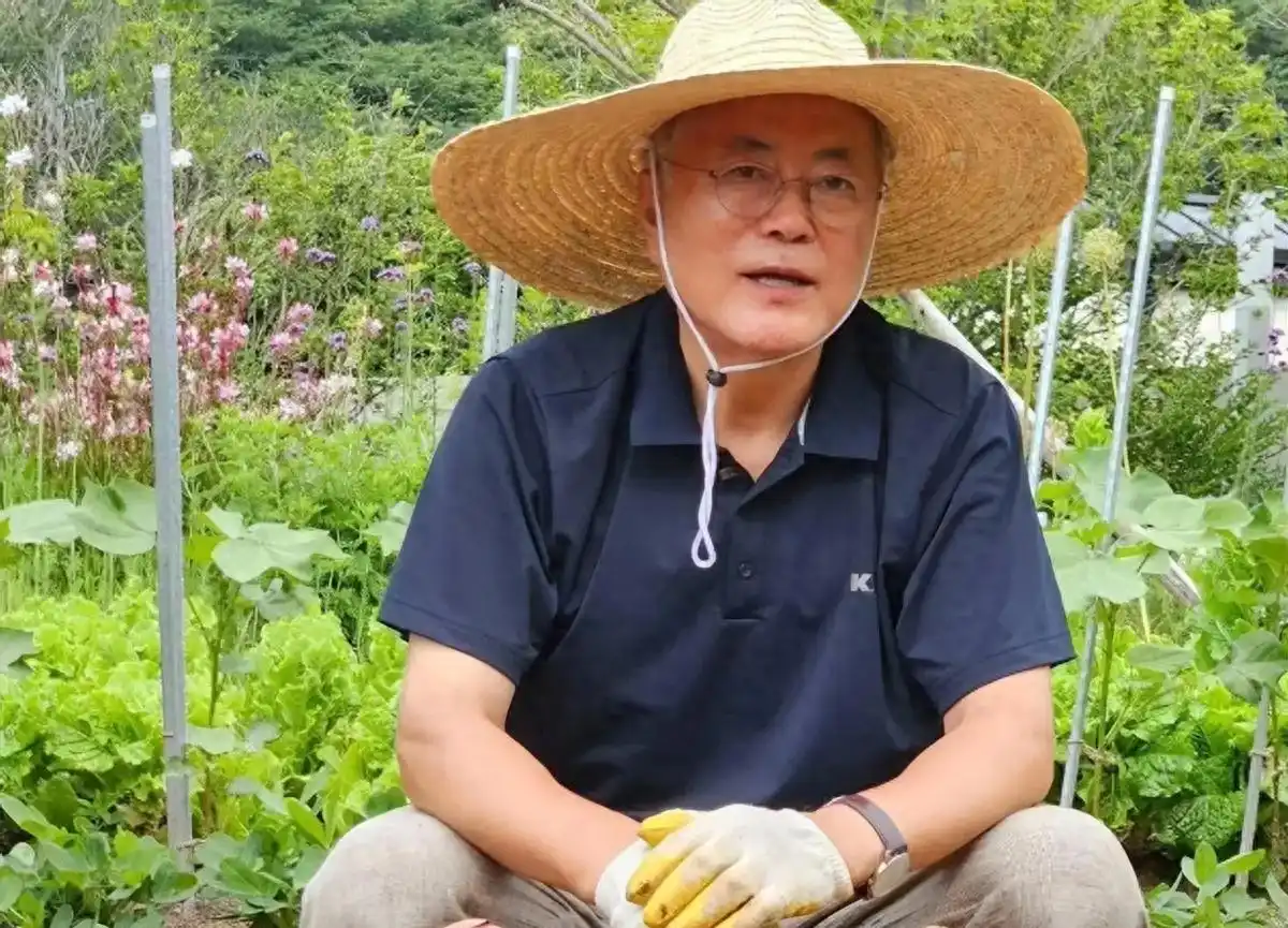 离谱的理由，怪异的推理，韩国检方以贪污罪控告前总统文在寅